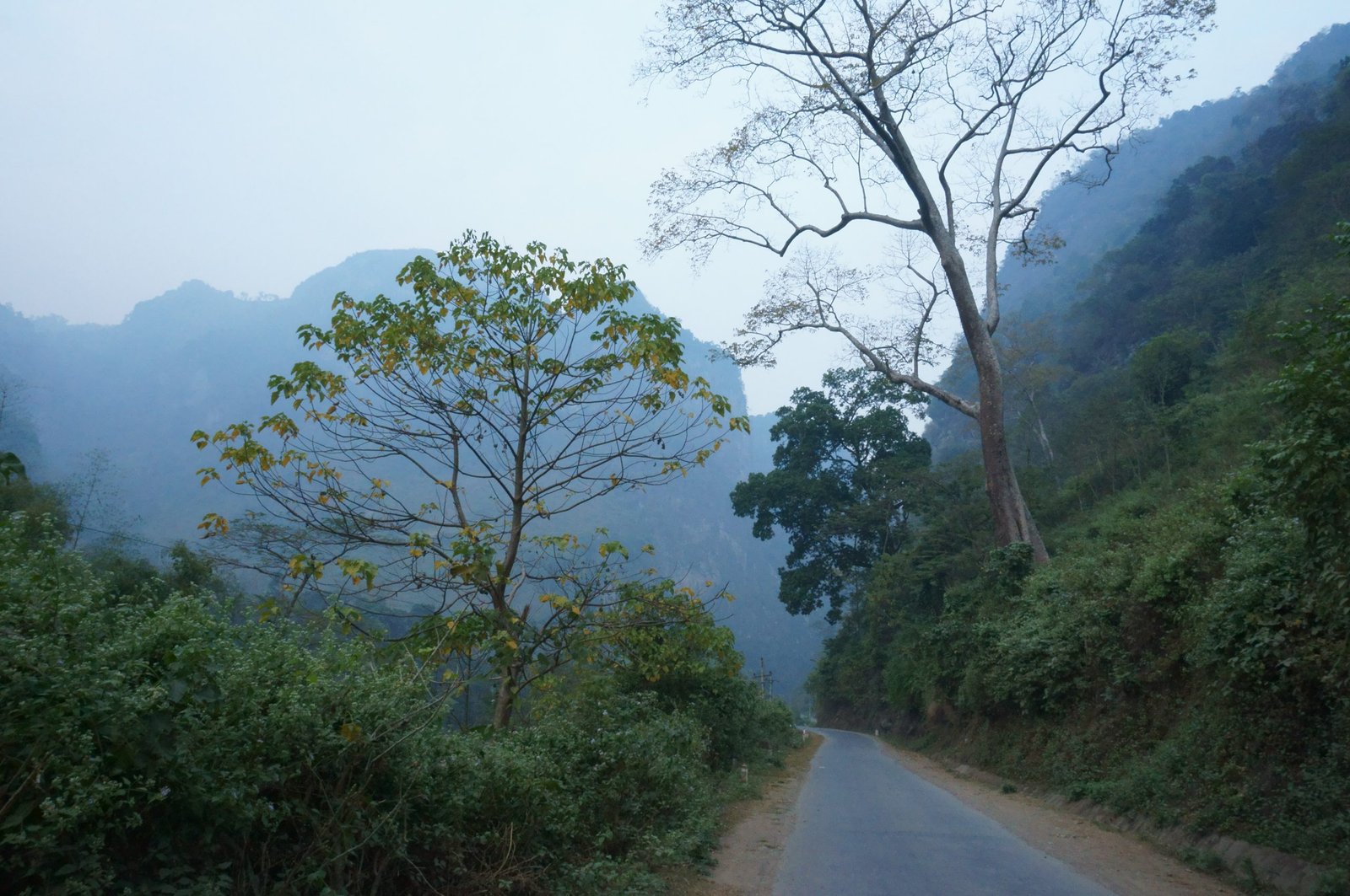12-Day Northern Vietnam Cycling Tour: Mu Cang Chai, Ha Giang & Hoang Su Phi Bike Adventure